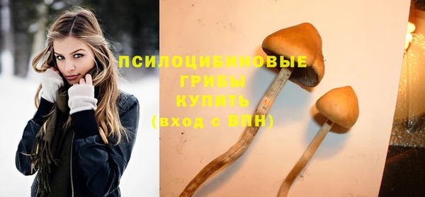 МДПВ Абинск