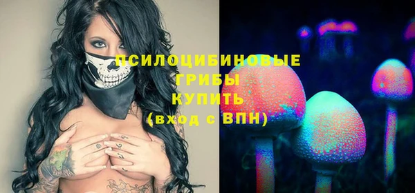 дурь Алексин