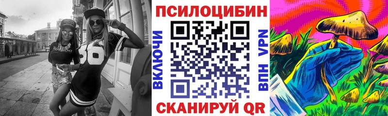 Псилоцибиновые грибы Psilocybe цены наркотик Спас-Клепики
